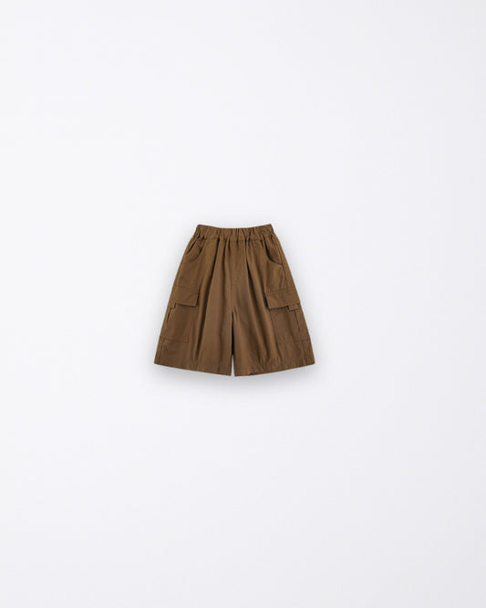 Brown boys short